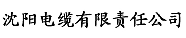 闪闪发光大团圆结亲情会电缆厂logo